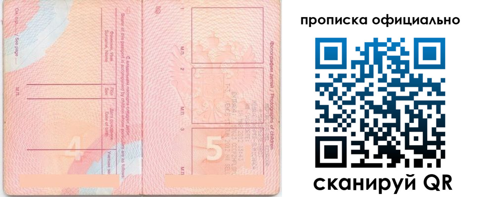 прописка для школы в Волосово