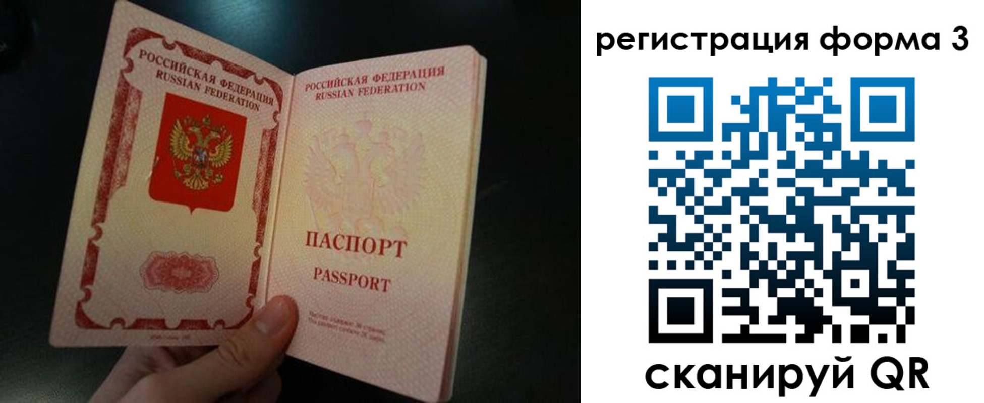 временная прописка в Волосово